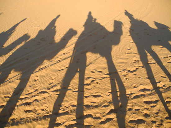 Camel Shadows!