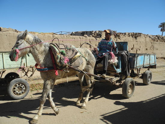 Das Berbertaxi wäre auch eine Alternative gewesen, jedoch nicht für unsere Strecke.