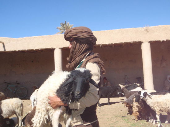 Der Handel ist perfekt!