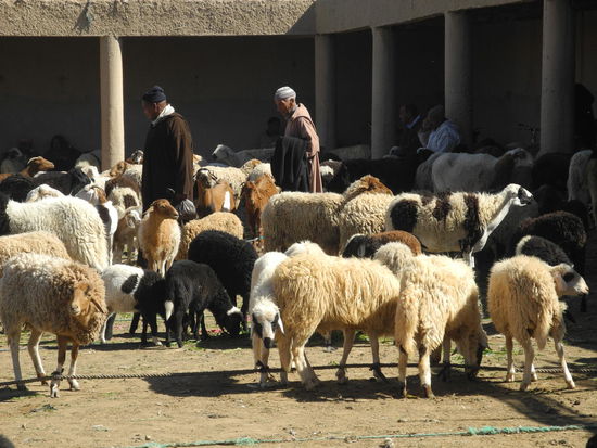 Wir fühlen uns ins Mittelalter versetzt.
