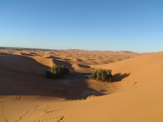 Die Farbe des Wüstensandes ändert sich je nach Tageszeit von hellgelb bis zum knalligen orangerot bei Sonnenuntergang.