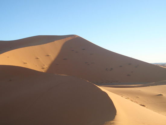 Wir sind noch unschlüssig, welchen Weg wir nehmen sollen, ob der rechte wohl zu steil ist?