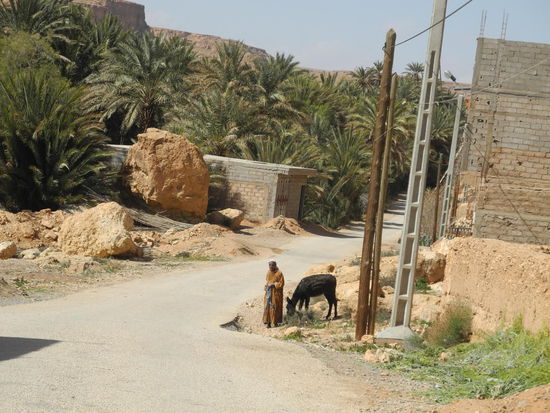 In den Dörfern ist der Esel immer noch das Haupt Transportmittel.