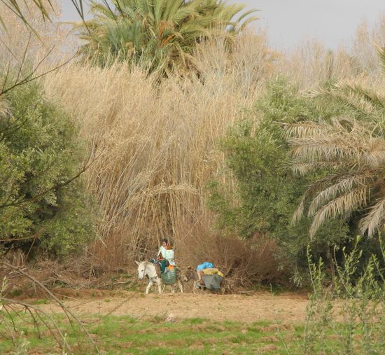 Für uns immer wieder ein ungewöhnlicher Anblick!