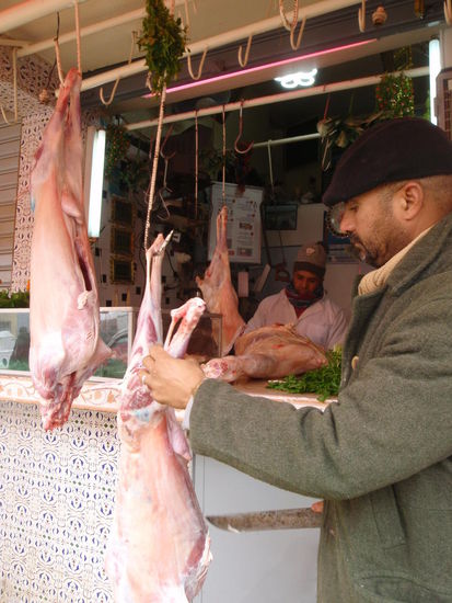 Frischer geht`s nicht, wir freuen uns auf das Lammfilet heute Abend!