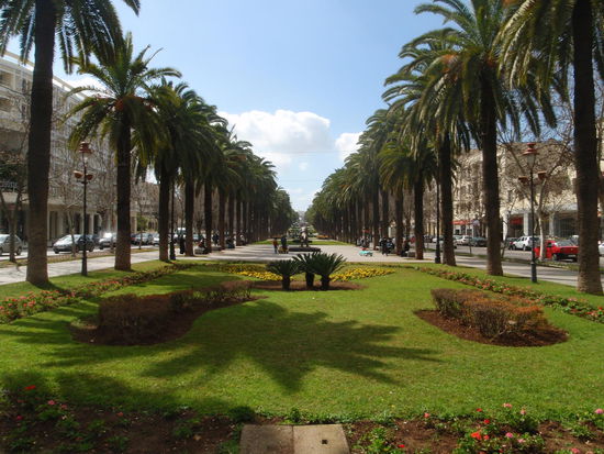 Die Allee Mohammed V , der zentrale Mittelpunkt von Fes.