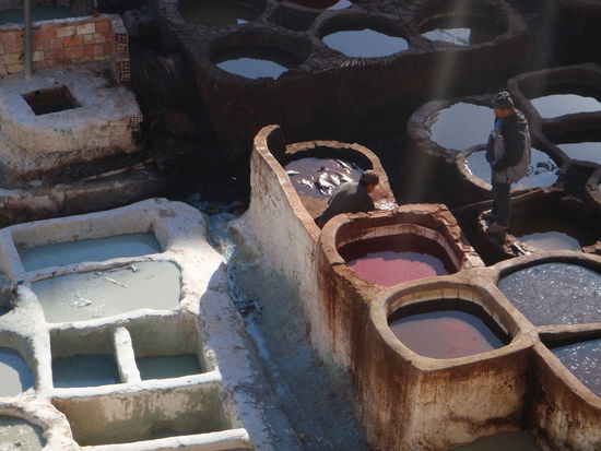 In den Bottichen befinden sich die verschiedenen Naturfarben.