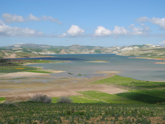 Durch eine farbenfreudige Landschaft fahren wir am nächsten Tag weiter nach Moulay Idriss, einem der bekanntesten Wallfahrtsorte in Marokko.