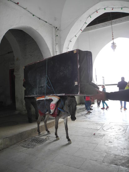 Schrank erdrückt Esel?