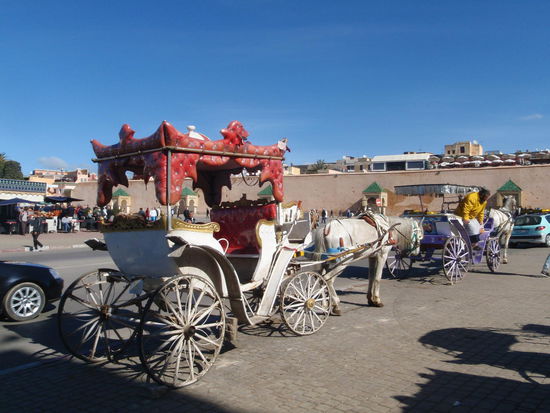 Wir fuhren nach dieser Besichtigung mit der Kutsche zurück zum zentralen Platz.