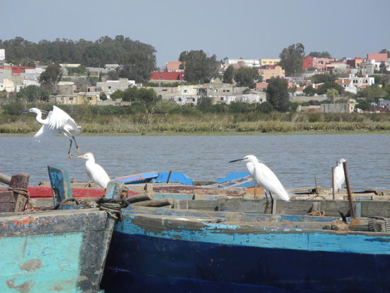 Sie fühlen sich wohl hier!