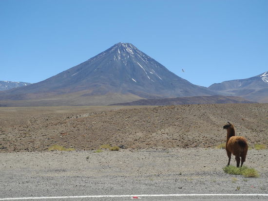 Der dominante Vulkan Lickancabur bei San Pedro.