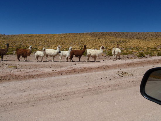 Wo geht`s hier weiter?