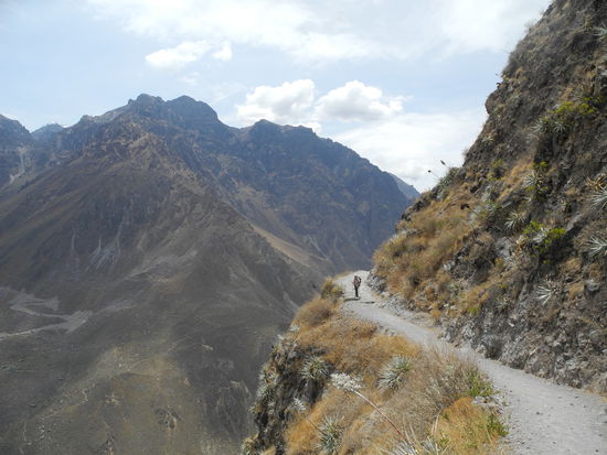 Eine wunderschöne Aussicht!