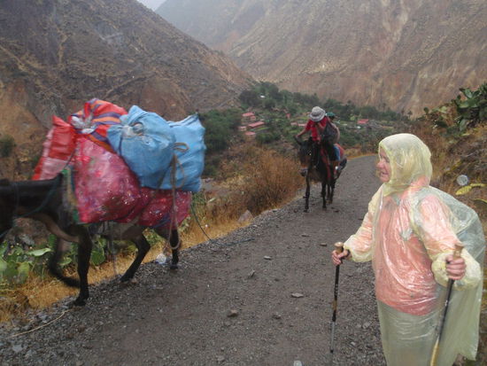 Gestern haben wir noch auf dem Markt die Regenmäntel gekauft, das hat sich gelohnt, denn es hat kräftig gegossen.