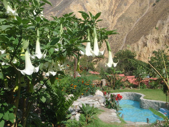 Am nächsten Tag verwöhnte uns die Sonne wieder.