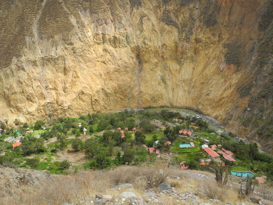 Blick zurück zur Oase Sangalle.