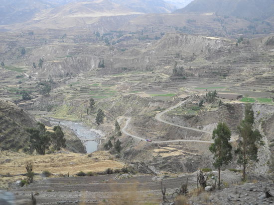 Entlang der Hauptstraße auf der gegenüber liegende Seite des Canyons gibt es verschiedene Terassenfelder der Inkas und ihrer Vorfahren.