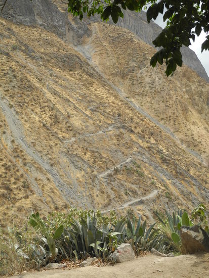 Die gegenüberliegende Seite, hier sind wir gestern 
bei strömenden Regen abgestiegen.