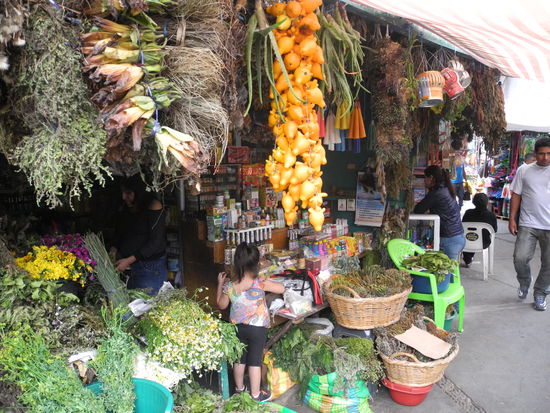 Gegen jedes "Wehwehchen" gibt es ein Kraut!