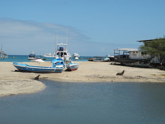 Am Hafen von San Cristobal.