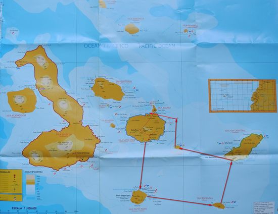Die Hauptinsel auf Galapagos ist Santa Cruz, von dieser starten die meisten Kreuzfahrten. Wir gehen in Puerto Ayora auf Santa Cruz an Bord und besuchen die Inseln Floreana - Espanola - San Cristobal - Santa Fe und beenden die Tour wieder in Santa Cruz.