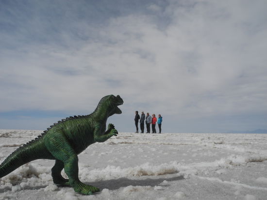 Unsere französischen mit Reisenden hatten die Ideen noch ein paar 
Spielchen aufzunehmen, das ist alles möglich auf dem Salar de Uyuni.