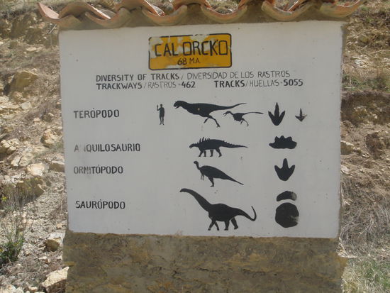 Die Fußspuren der verschiedenen Dinosaurier Arten.