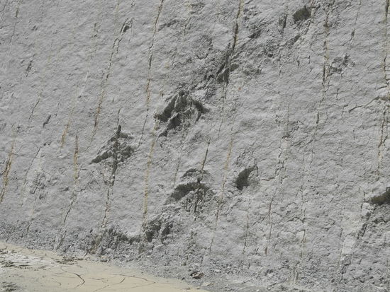 Diese Spuren sind mehrere Millionen Jahre alt - das ist beeindruckend!