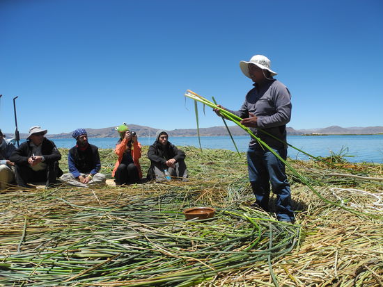 Unser Guide erklärt uns ausführlich, wie die Uros das Totora Schilf verwenden.