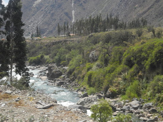 Rio Urubamba.