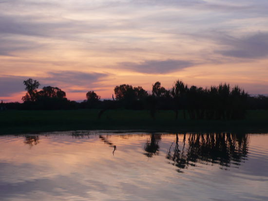 Yellow Water am Abend sieht toll aus, wenn nur nicht die vielen Moskitos wären.