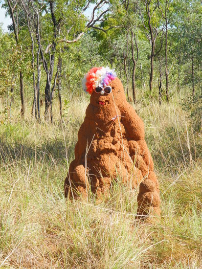 Unterwegs begrüßen uns lustige Termitenhügel!