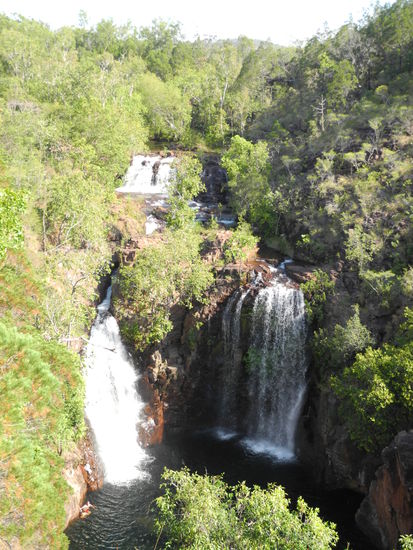 Die herrlich gelegenen Florence Falls enden in einem tollen Pool.