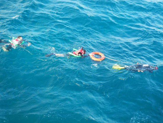 Auch die Schnorchler dürfen nur mit einem Guide auf Tour gehen. Für uns eher ungewöhnlich, da wir in Ägypten immer alleine unterwegs waren.