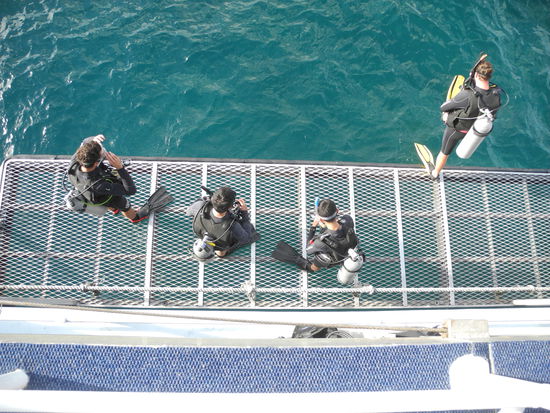 Auf dem Schiff werden täglich vier Tauchgänge und ein Nacht-Tauchgang angeboten. Dasselbe gilt für die Schnorchler.