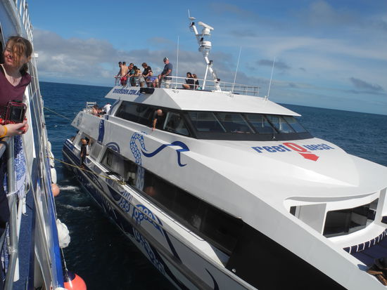 Die Tour ist gut organisiert. Das Übernachtungsschiff bleibt draußen am Reef und wechselt immer wieder mal die Position. Das Schnellboot ist zuständig für die wechselnden Gäste.