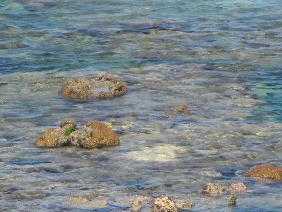 Bei Niedrigwasser kommen Teile des Reefs zum Vorschein.