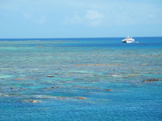 Es sind mehrere Schiffe am Reef.