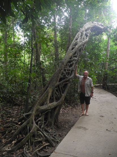 Kunstwerke der Natur.