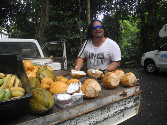 Köstliche Erfrischung mit Kokosnüssen!