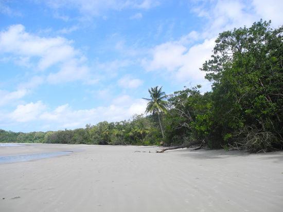 Der kilometerlange weiße Sandstrand, ist von Palmen und Farnen gesäumt.