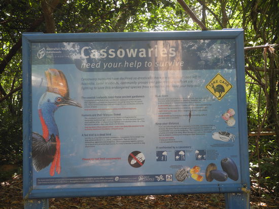 Er ist geschützt, es wird dauernd gewarnt, den Vogel nicht zu überfahren.