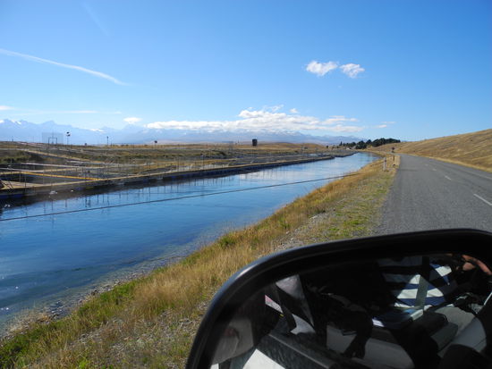 Im Kanal des Lake Tekapo-Pukaki werden Lachse gezüchtet. Leider war die Lachsfarm geschlossen, deshalb konnten wir keine Fische kaufen.