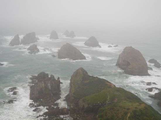 Diese Felsen, die im Meer liegen und in der Abendsonne golden schimmern sollen, gaben dem Ort seinen Namen - Nugget Point.