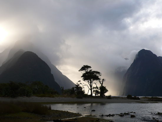 Fotografen aus aller Welt versuchen das beste Foto zu schießen.