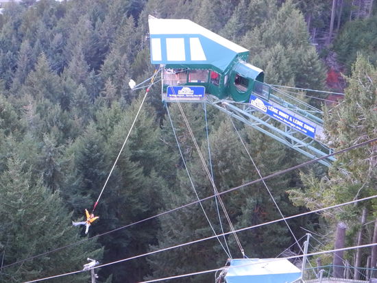 "Der Sturz in die Tiefe"