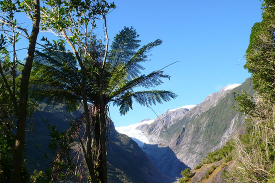 Auf dem Weg zum Franz Josef Gletscher.