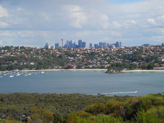 Im Hintergrund die Skyline von Sydney.
