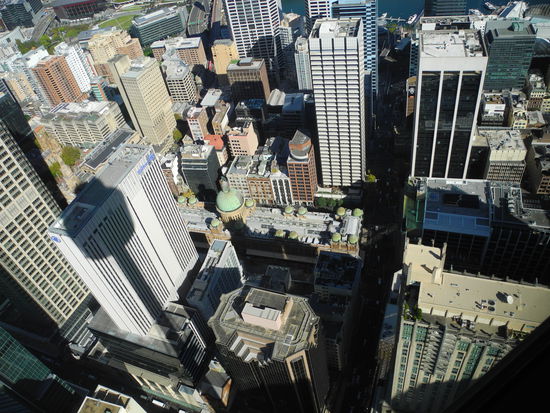 Blick in Sydneys Häuserschluchten auf 250 m Höhe.